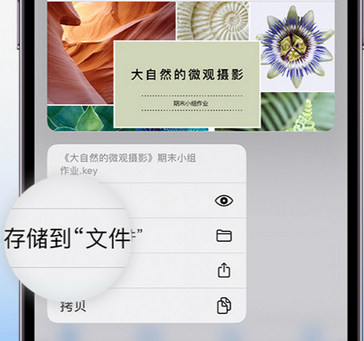 北票apple维修中心分享iPhone文件应用中存储和找到下载文件