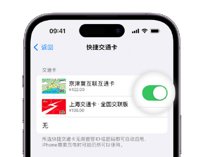 北票apple维修点分享iPhone上更换Apple Pay快捷交通卡手绘卡面 