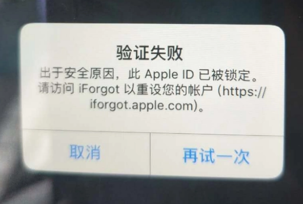 北票iPhone维修分享iPhone上正常登录或使用AppleID怎么办 