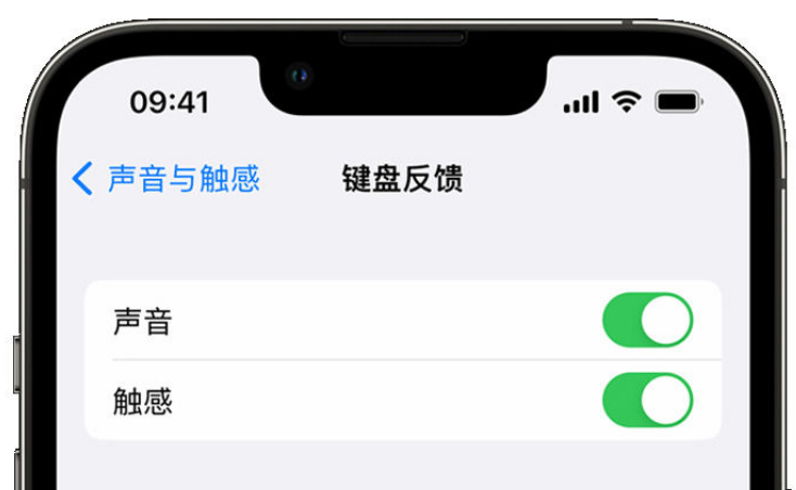 北票苹果手机维修分享iPhone 14触感键盘使用方法 