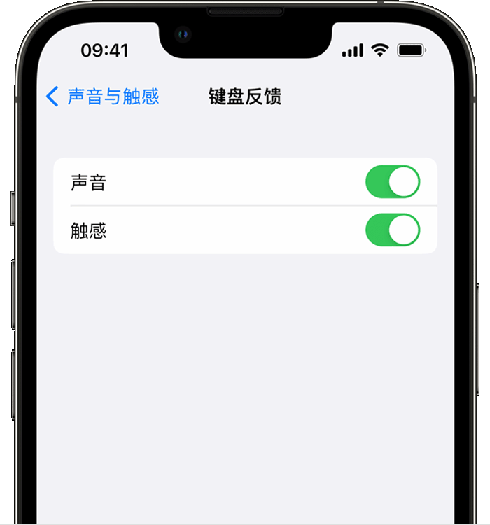 北票苹果14维修店分享如何在 iPhone 14 机型中使用触感键盘 