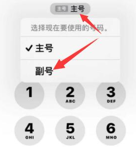 北票苹果14维修店分享iPhone 14 Pro Max使用副卡打电话的方法 