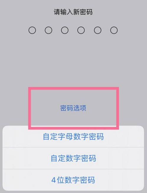 北票苹果14维修分享iPhone 14plus设置密码的方法 