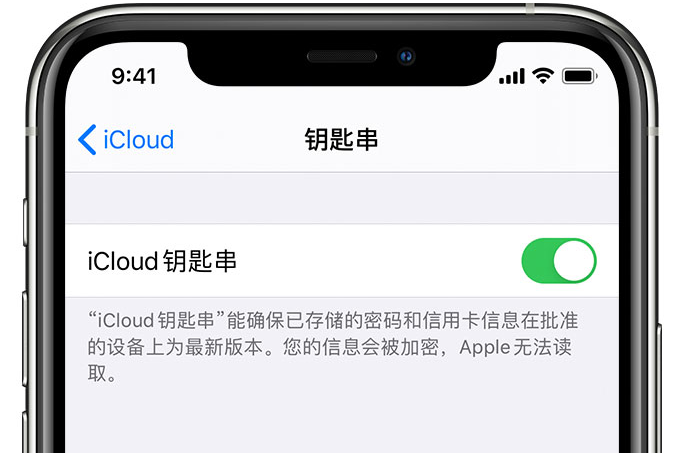 北票苹果手机维修分享在 iPhone 上开启 iCloud 钥匙串之后会储存哪些信息 