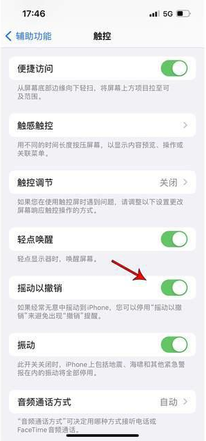 北票苹果手机维修分享iPhone手机如何设置摇一摇删除文字 