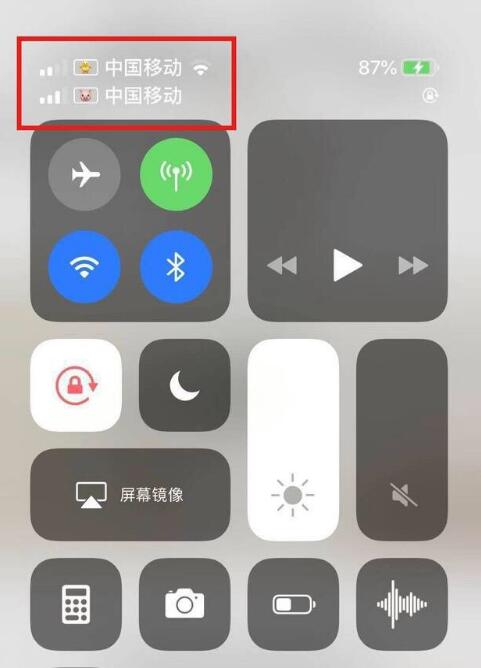 北票苹果手机维修分享为 iPhone 12 双卡设置标签 